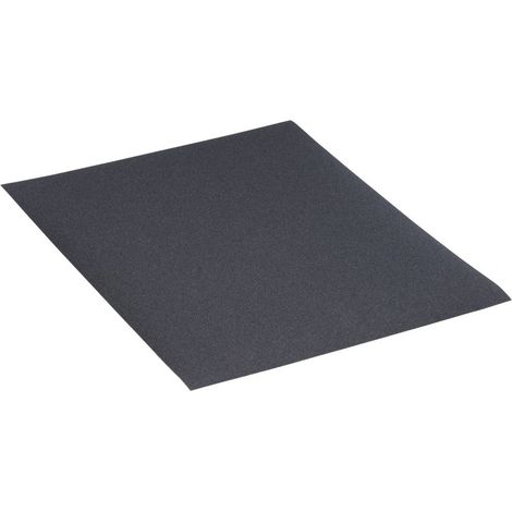 Rhodius WSP 301009 Papier abrasif Grain 220 (l x H x P) 230 x 1 x 280 mm 50 pc(s)