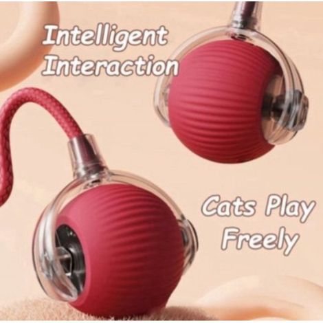 Balle interactive pour chat – Balle automatique rechargeable avec fausse queue pour chats et chiens, imitation souris pour l'entraînement et la stimulation Jouet parfait pour animaux de compagnie, i (1/5)
