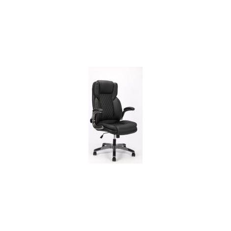 Chaise de bureau ergonomique, dossier et accoudoirs réglables, capacité 180 kg, noir (1/5)