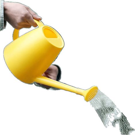 Arrosoir pour Plantes d'Intérieur à Long Bec 1,8L pour Jardin Intérieur/Extérieur jaune (1/4)