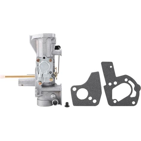 Vergaser für Briggs & Stratton Motoren 498298, 130202, 112202, 112232, 134202 und 137202 (5 PS) (1/5)