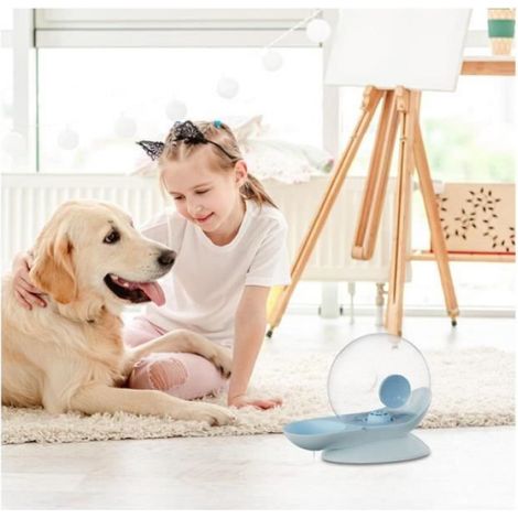 Distributeur d'eau pour chien - Distributeur en forme d'escargot - 2,8 l - Multi-filtres - Amélioration du goût (1/4)