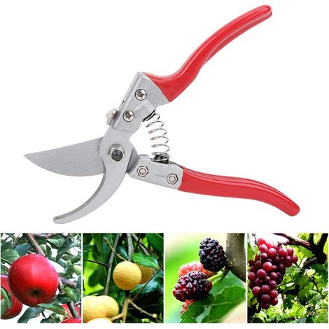 Forbici da potatura per rami – impugnatura antiscivolo – rosse – per alberi da frutto – attrezzi manuali da giardino