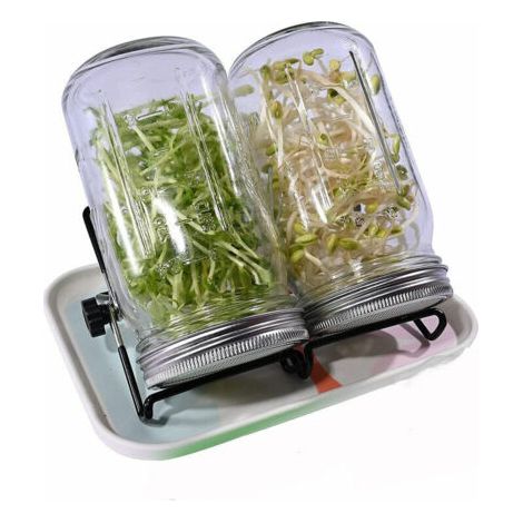 32 oz germoir pour graines à germer avec couvercles en Acier Inoxydable,Plateau, Support et Distributeur de graines (1/5)