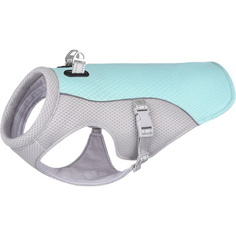 Vêtements rafraîchissants pour chien, gilet anti-coup de chaleur (1/5)