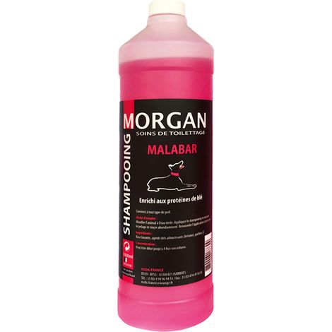 Shampoing protéiné senteur Malabar : 1L