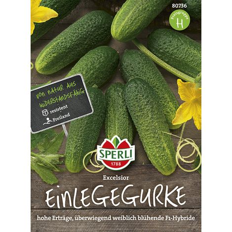 Sperli Einlegegurken Excelsior F1 - Gemüsesamen (1/2)