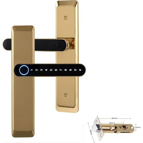 Serrure de porte intelligente Serrure électronique numérique Tuya serrures d'empreintes digitales biométriques intelligentes serrure de porte d'entrée sans clé for maison bureau à domicile ( Color : T (1/5)