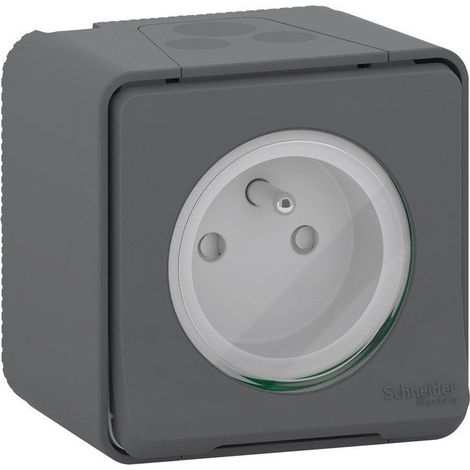 Mureva Aufputz-Erdsteckdose, anthrazitgrau SCHNEIDER ELECTRIC
