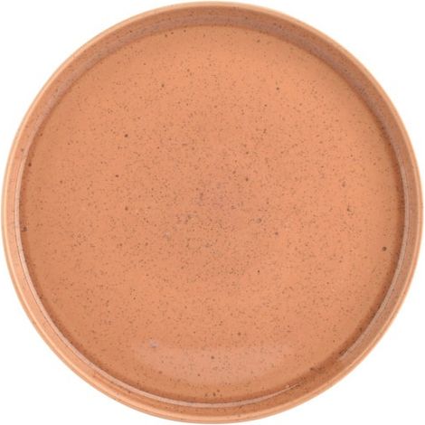 Assiette Plate Blush Peach Design élégant Couleur Pêche - Fine Dining Living