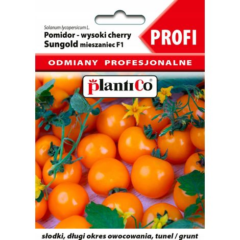 Pomodoro Sungold F1 8z Plantico