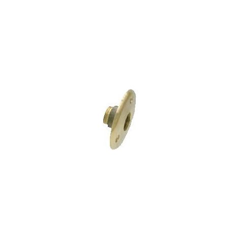 Applique traversée de cloison pour robinetterie laiton brut femelle 1/2 - WATTS