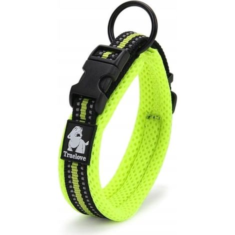 Hellgrünes Halsband für kleine Hunde, Modell Truelove S (1/5)