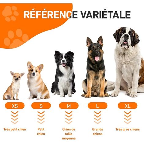 Peignoir Chien, Serviette pour Chien, Absorbant (Taille XS) (1/4)