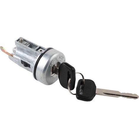 Kit de cilindro de cerradura de encendido completamente nuevo 69057-60071 6905760071 para Land Rover FZJ70, incluye 2 llaves, números de pieza: 6905790K03 6905760061