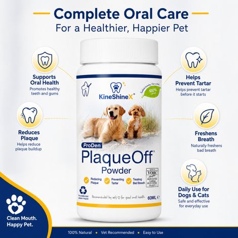KineShineX Pet Dental Powder, dem Tierfutter beigemischt, schützt die Zähne, erfrischt den Atem, geeignet für Katzen und Hunde, tägliche Pflege, Nährstoffunterstützung. (1/4)
