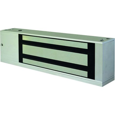 Ventouse électro-magnétique en applique (Force 500 kg) - IZYX SYSTEMS (1/3)