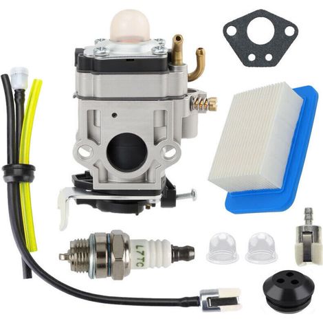 Carburetor compatible with WYK-192, reference: A021000810, A021000811 and A021000812, for EB633RT. (1/4)