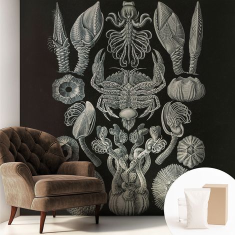 Papier peint intissé mural avec imprimé pour décoration pour salon pour chambre à coucher pour entrée Formes sous-marines 250x250 cm (1/5)