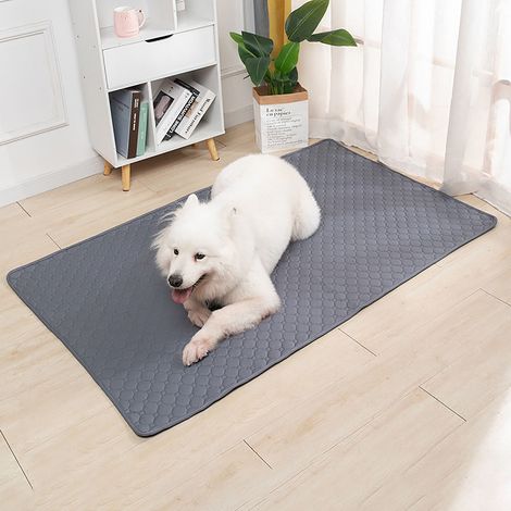 Tapis Urine Pour Animaux - Absorption Rapide Et Anti-Odeur - Lavable Et Réutilisable - Gris - 60 x 90 cm - 1 Pièce (1/5)