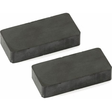 Magnet Aster 9,5 mm Höhe 47 mm Länge 2 Stück