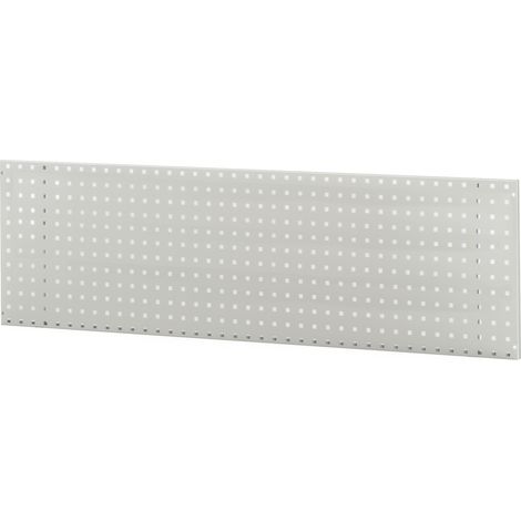 Rau Lochplatte für Wandmontage BxTxH 1250x15x450mm