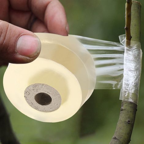 1 Rolle selbstklebendes, flexibles und dehnbares, transparentes Veredelungsband für den Garten, 3 cm (1/5)