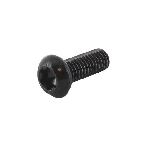 Tornillo Torx M6 x 15mm GGP - CASTELGARDEN 123878109/0