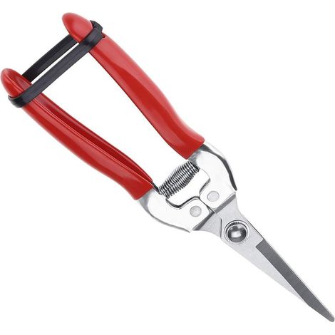 Sécateur, sécateur en acier inoxydable, sécateur de jardin, lame droite professionnelle, rouge. (1/5)