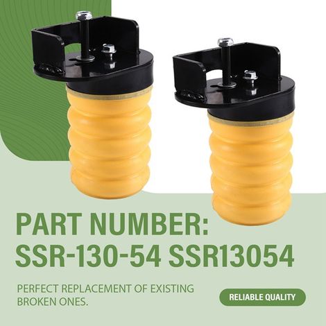 2 SSR-130-54 Luftfederungssätze für die Hinterachse für Ford E450 und Van E350 (1/5)