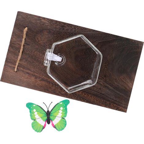 Vase Mural Verre pour Plantes Hydroponiques avec Panneau Terrarium Décoratif pour Maison Et Bureau (1/5)