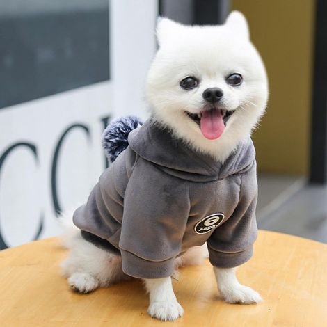 QAZQA Vetement Chien Vêtements pour Animaux De Compagnie en Velours Doré À Capuche Épaissis De Chien Épaissis De Chien Automne Et Hiver À Deux Pattes À Deux Pattes pour Les Chats Et Les Chiens(2XL) (1/5)