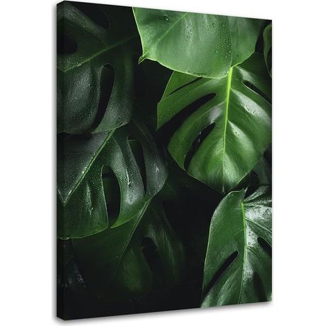 Image sur toile, Feuilles de Monstera - 40x60 (1/5)