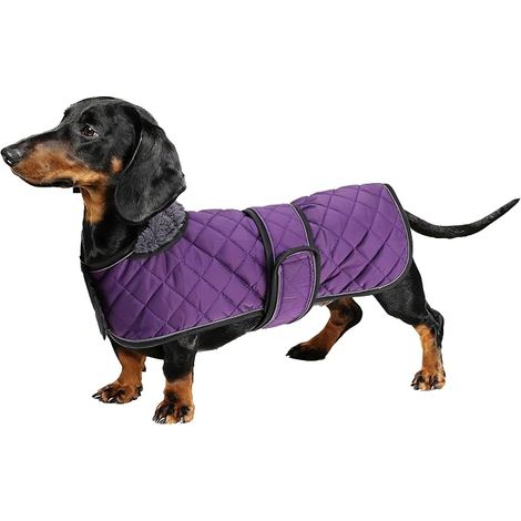 Geyecete - Warm waterproof coat for dachshund, winter coat for dogs with warm fleece lining and adjustable strips, winter jacket for small and medium dogs-purple-M (1/5)