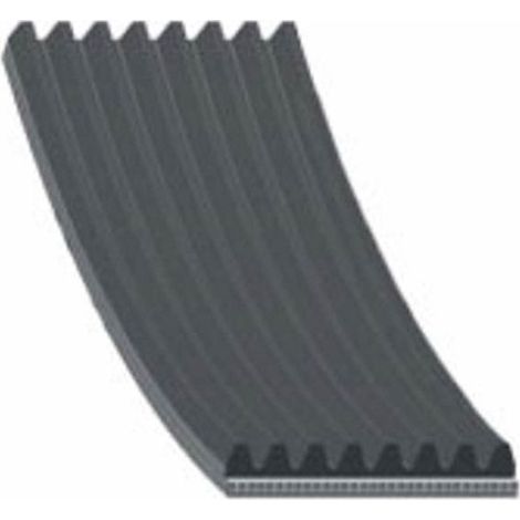 Correa estriada Scania 94 114 124 144 164 1888469