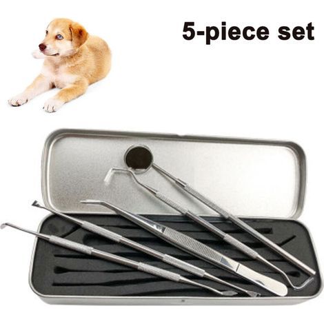 Outils dentaires professionnels, détartreur dentaire et grattoir en acier inoxydable pour chien, - Lot de 5 outils de nettoyage des dents en acier inoxydable pour chiens, chats (1/4)
