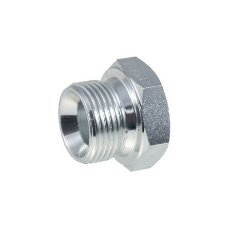 Tapón BSP (AGR) de 1/2" con casquillo para llave 27 (1/3)