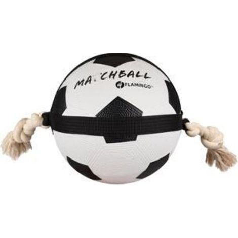 Ballon de football Action, jouet pour chien. Description : Ballon de football Action. Taille : 22 cm. 750337 (1/2)