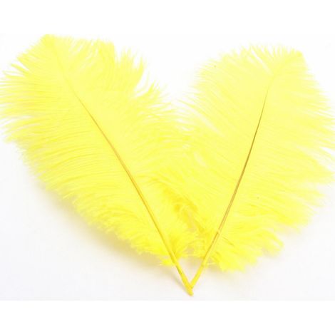 Plumes D Autruche Naturelles - 30 à 35 cm - Décoration Mariage Centre de Table Arrangement Floral DIY Noël - 1 Pièce Jaune (1/5)