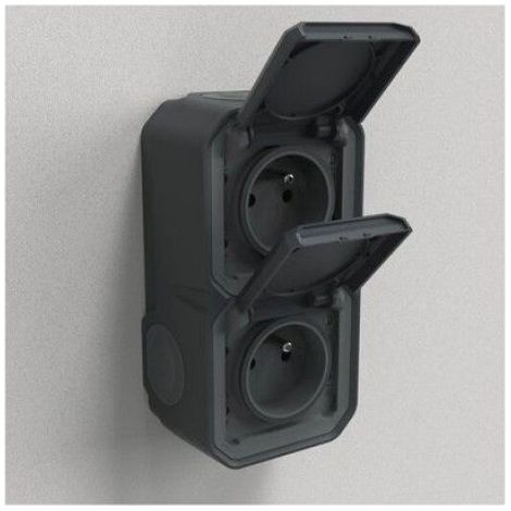 Double prise de courant - - Plexo - 2P+T - Verticale - Etanche IP55 (1/4)