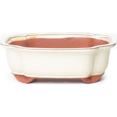 Vaso bonsai smaltato rettangolare cm. 25 Avorio (1/2)