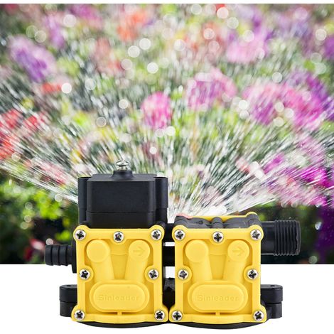 Accessoires pour tête de pompe à membrane, moteur de pulvérisateur électrique double noyau 12 V (1/5)