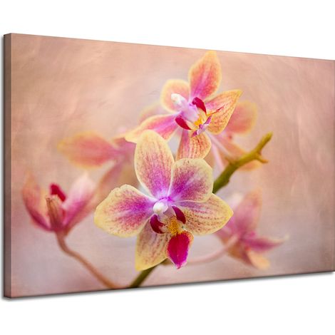 Leinwanddruck Botanik Blume Orchidee 120x80 cm