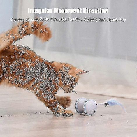 Chat roue Jouet Gatos jouets Juguetes Para Jouet animal interactif chaton Pour jeu (gris) (1/5)