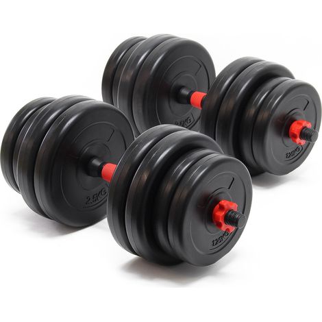 Juego de mancuernas de 30 kg con discos de hierro fundido para entrenamiento de fuerza y levantamiento de pesas (160000846) (1/5)