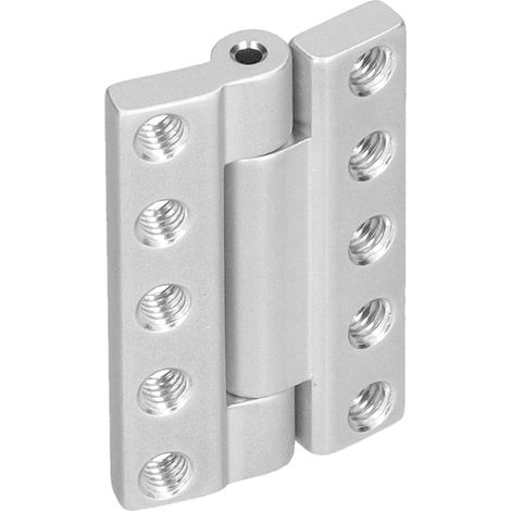 Charnière carrée à mortaise complète en acier inoxydable pour Gobilda M4 5 trous 38 mm L 4902‑0005‑0038 (1/5)
