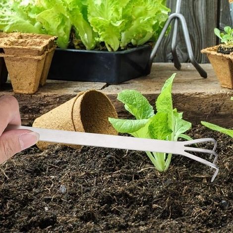 Bonsai Rake Stainless Steel Root Rake 3 Prong Loosening Ground Bonsai Tree Tools with Ergonomic Handle for Loosening Bonsai Soil (1/5)