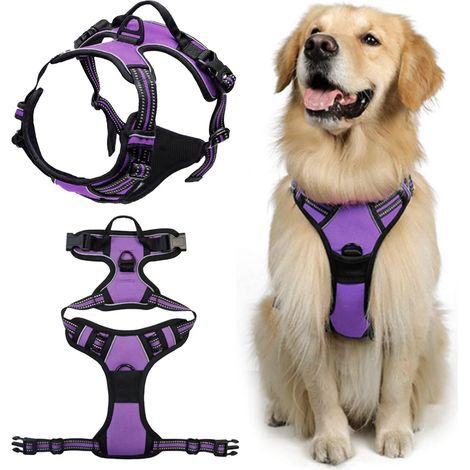 No Pull Dog Harness, Anti-Pull Dog Harness, for Medium Dogs, Easy to Put On, Purple L (1/5)
