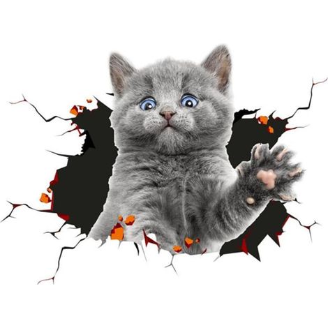 （A)3D Cat Removable Car Sticker Car Decoration Sticker Car Window Animation Funny Decoration Kitten Sticker Car Shape Sticker (1/5)