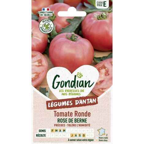 Gondian - Tomate Ronde Rose de berne (1/2)